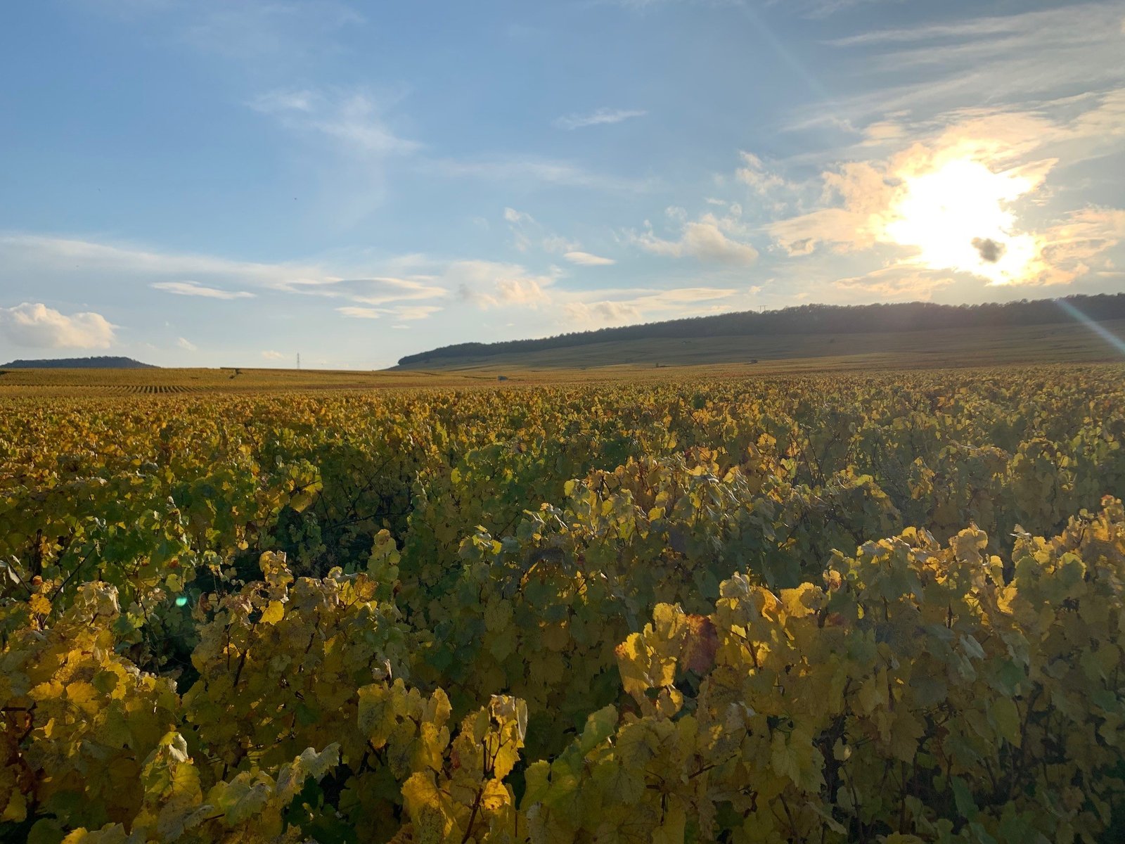 Automne Lionnais