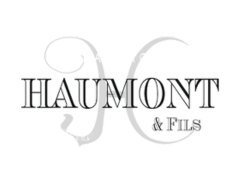 logo main